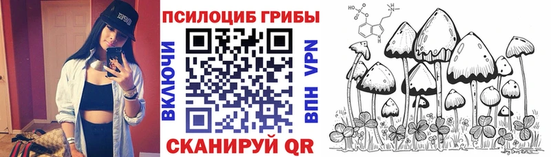 кракен как зайти  Томилино  darknet клад  Галлюциногенные грибы GOLDEN TEACHER 